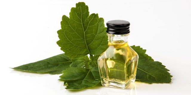 patchouli light