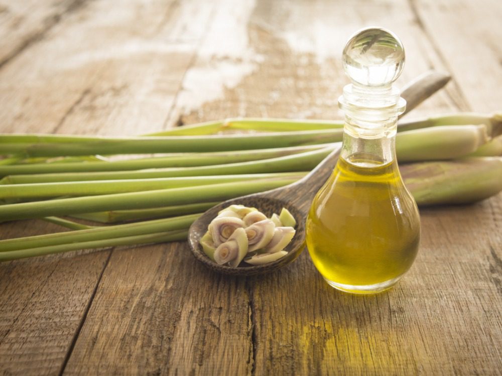 lemongrass essential oil manufacturer, lemongrass aromatherapy, edible lemongrass oil, lemongrass essential oil good for skin