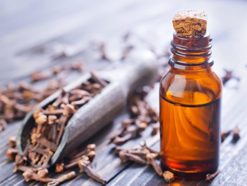 Clove Oil Safety for Cosmetic & Industrial Use: IFRA Limits, Eugenol Handling & Formulation Guidelines 3 clove oil safety cosmetics