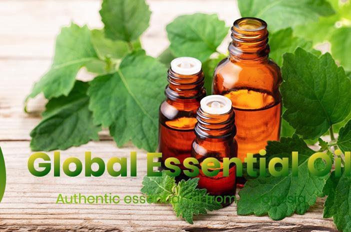 patchouli perfume, patchouli body oil, patchouli origins from indonesia