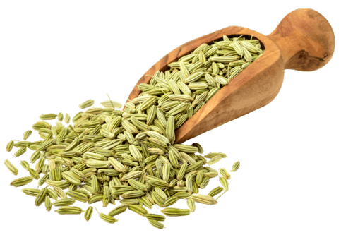 fennel essential oil use for, fennel seed oil supplier, best fennel essential oil blends