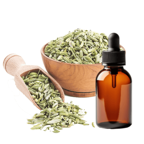 fennel essential oil use for, fennel seed oil supplier, best fennel essential oil blends, fennel seed oil