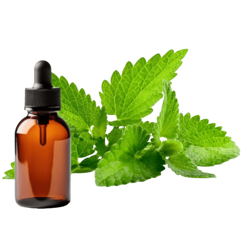 patchouli essential oil supplier, patchouli essential oil manufacturer, what fragrance patchouli oil blends with?, patchouli origins