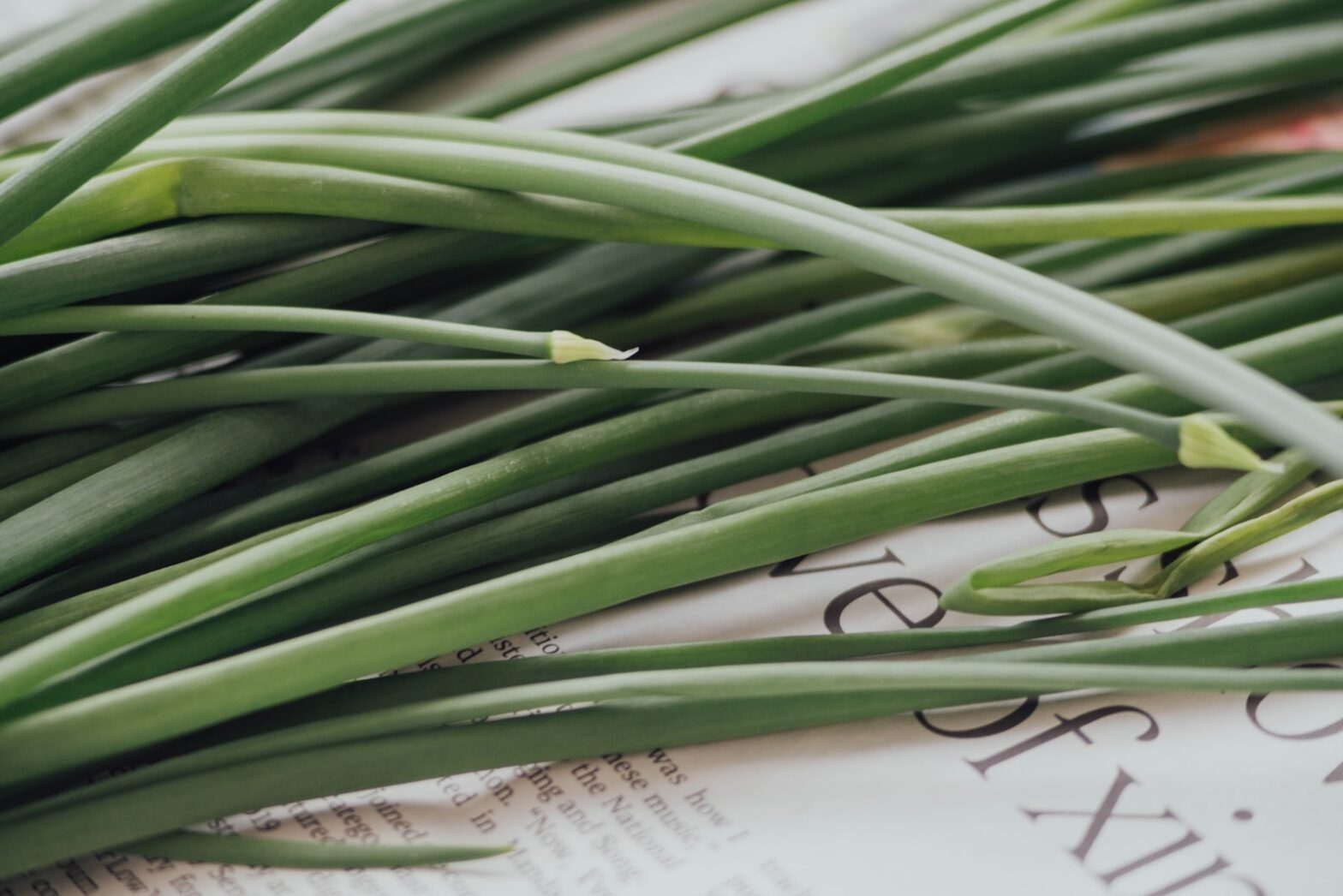 lemongrass essential oil
