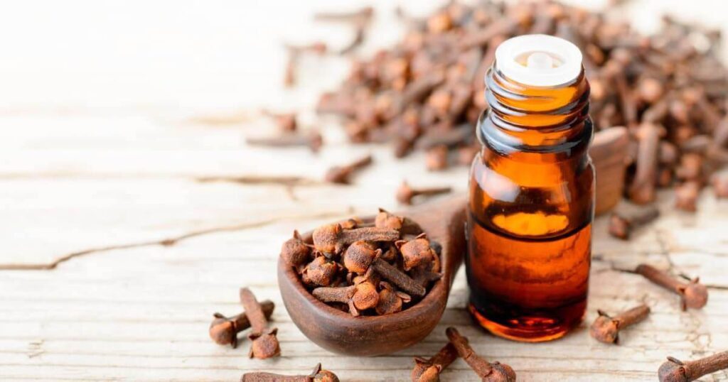 Benefits Of Clove Oil In Toothpaste 1 Global Essential Oil, Benefits Of Clove Oil In Toothpaste