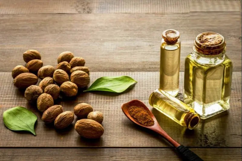 bulk nutmeg oil