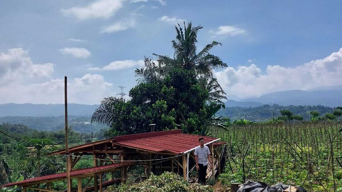Global Essential Oil, Huge Impact Of Global Essential Oil New Distillation Unit For Locals in Sukabumi