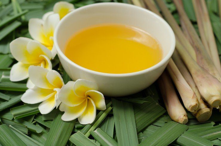 citronella aromatherapy, citronella as mosquito repellent, citronella peppermint oil, natural citronella oil