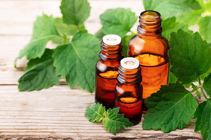 how to source essential oils from Indonesia