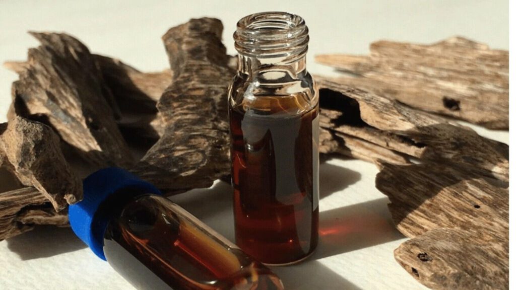 Sustainable Essential Oil Sourcing: A Practical Guide for Buyers, Brands & Formulators 7 agarwood essential oil