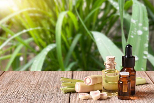 private label essential oil from indonesia