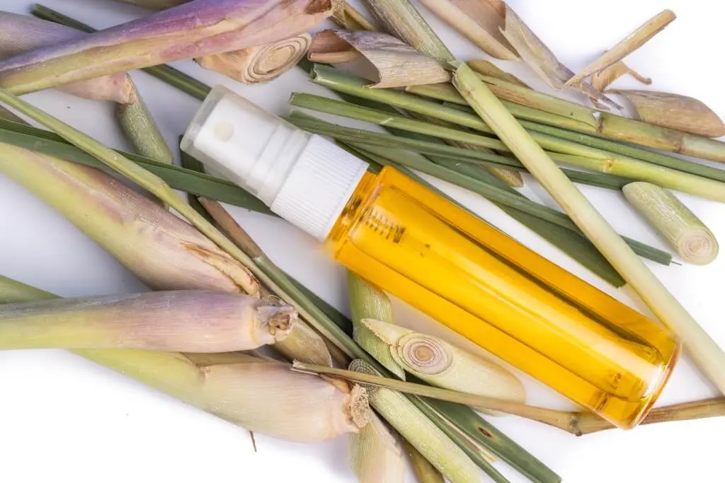 Lemongrass Oil Extraction Process