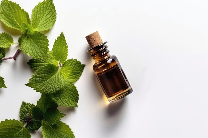 Patchouli Perfume, patchouli deodorant, patchouli oil, patchouli blanc