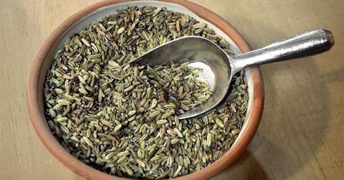 Fennel Seed in Culinary History: From Ancient to Modern Kitchens 1 fennel seed, fennel oil, sweet, bitter, fennel seed, culinary, kitchen, modern