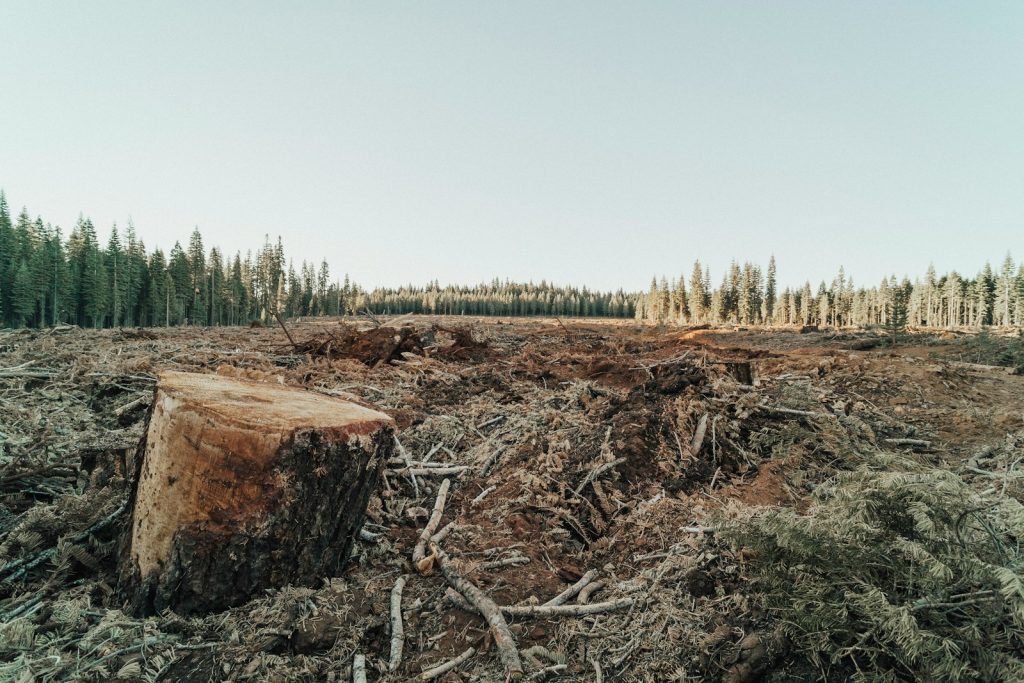 climate, agarwood, production, essential oil