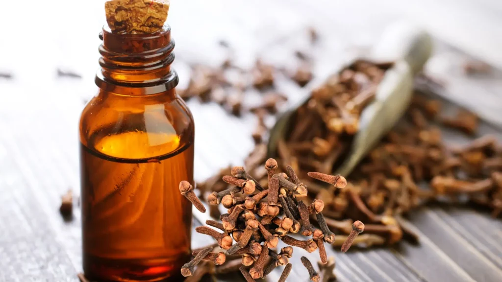 Global Essential Oil, Eugenol Manufacturer Indonesia: USP Grade, Pricing & Complete Buyer's Sourcing Guide