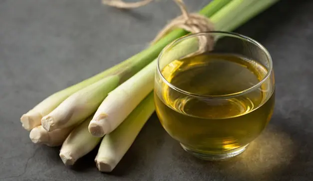 bulk citronella oil