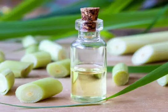 Ceylon Type Citronella Oil