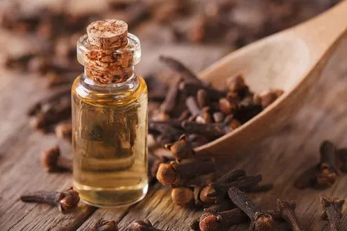 clove bud oil