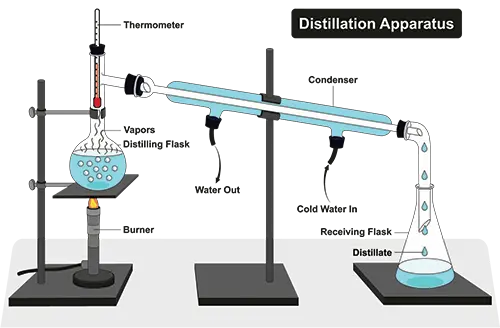 essential oil steam distillation process