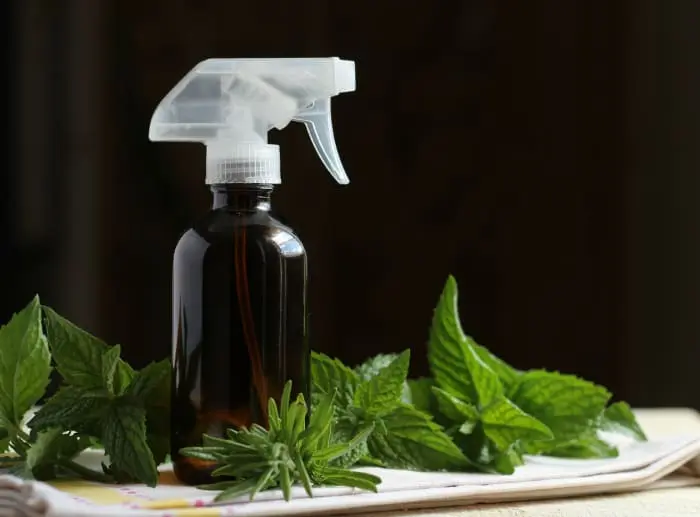 Citronella Oil as a Natural Air Freshener and Room Deodorizer