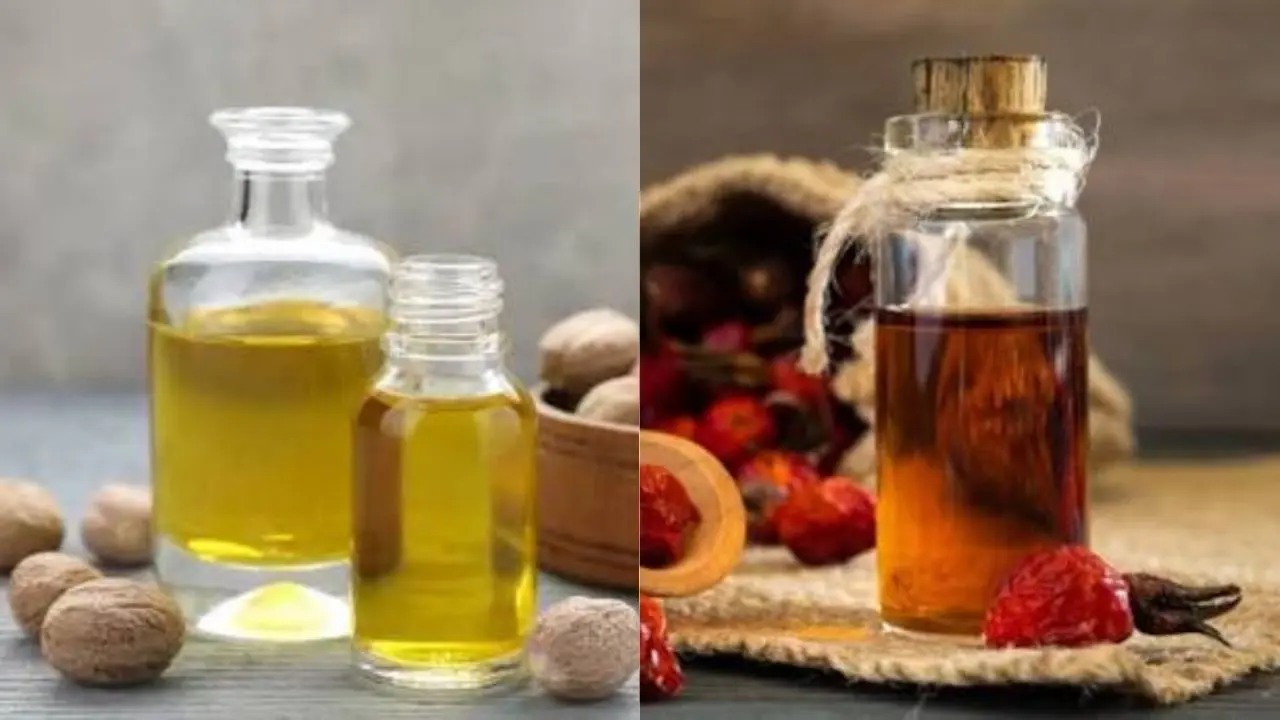 Nutmeg Oil vs Mace Oil: Complete Comparison, Uses, and Buyer Guide 37 Nutmeg Oil vs Mace Oil: Complete Comparison, Uses, and Buyer Guide