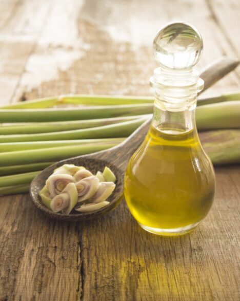 lemongrass essential oil manufacturer, lemongrass aromatherapy, edible lemongrass oil, lemongrass essential oil good for skin