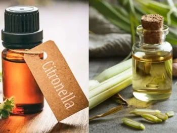 Global Essential Oil, What Blends Well With Vetiver Essential Oil? 5 DIY Recipes