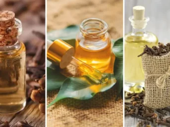 Clove Bud Oil vs Clove Leaf Oil vs Clove Stem Oil