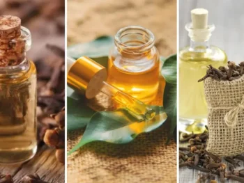 Clove Bud Oil vs Clove Leaf Oil vs Clove Stem Oil