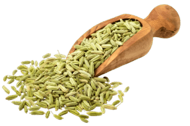 fennel essential oil use for, fennel seed oil supplier, best fennel essential oil blends, fennel seed, fennel powder, culinary, cuisine