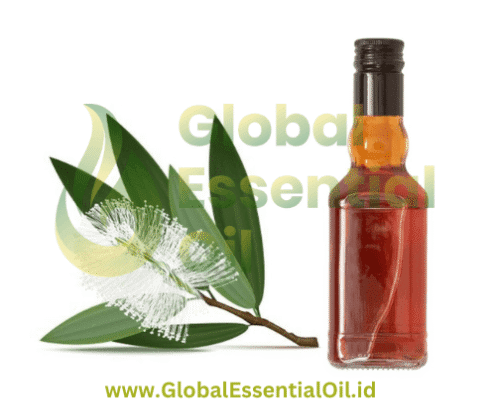Global Essential Oil, Products