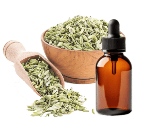 fennel essential oil use for, fennel seed oil supplier, best fennel essential oil blends, fennel seed oil