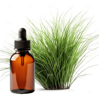 GlobalEssentialOil.ID (5) (1) indonesian vetiver essential oil manufacturer, vetiver essential oil extraction method, how to get vetiver essential oil, benefit of vetiver essential oil for daily use, use of vetiver oil for sleep, vetiver fragrance oil
