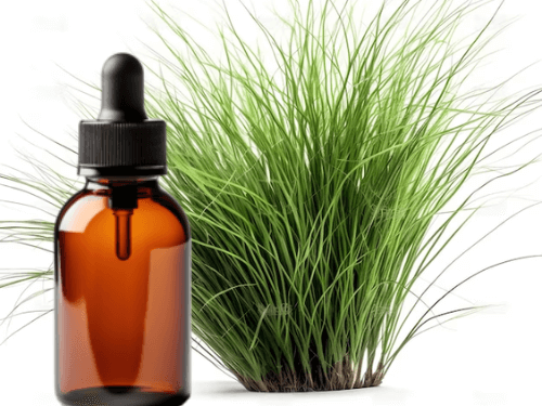 indonesian vetiver essential oil manufacturer, vetiver essential oil extraction method, how to get vetiver essential oil, benefit of vetiver essential oil for daily use, use of vetiver oil for sleep, vetiver fragrance oil