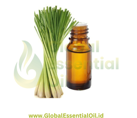 buy lemongrass essential oil manufacturers, wholesale essential oil lemongrass
