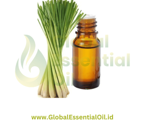 buy lemongrass essential oil manufacturers, wholesale essential oil lemongrass