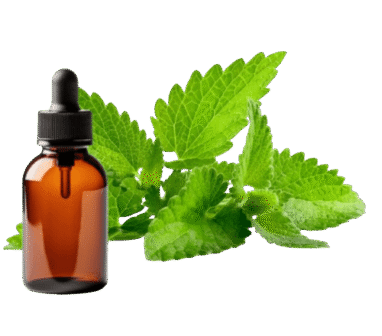 patchouli essential oil supplier, patchouli essential oil manufacturer, what fragrance patchouli oil blends with?, patchouli origins