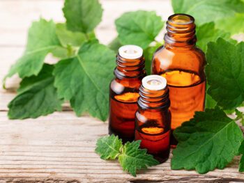 authentic patchouli oil supplier, patchouli essential oil supplier