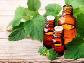 how to source essential oils from Indonesia
