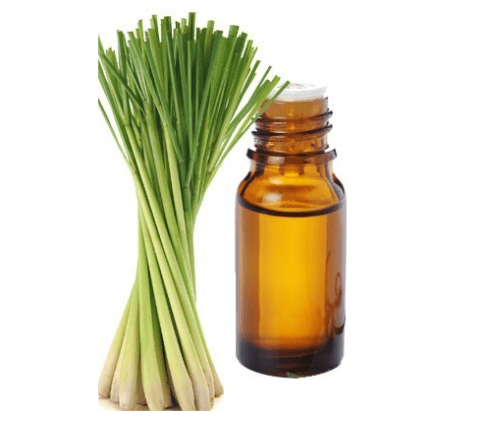 lemongrass essential oil, lemongrass pure essential oils, cymbopogon citratus oil, edible lemongrass oil, wholesale essential oils, lemongrass essential oil manufacturer, lemongrass aromatherapy, edible lemongrass oil, lemongrass essential oil good for skin