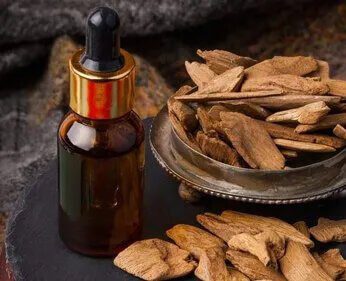 aquiaria agarwood oil supplier, buy oud aquilaria, agarwood oud supplier, aetoxylon oil, white oud oil, black oud oil, agarwood oud supplier, oud agarwood perfume, oud oil online, scented oils, cologne oils, agarwood oil, agarwood essential oil, agar agar wood, wood oil