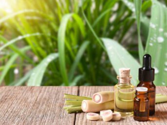 private label essential oil from indonesia