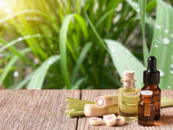 private label essential oil from indonesia