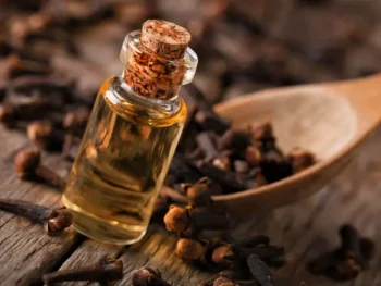 clove oil clove oil