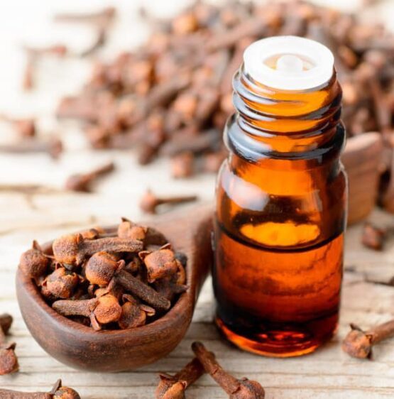 clove essential oil supplier, clove oil manufacturer, advantages of clove oil in various industry, clove essential oil