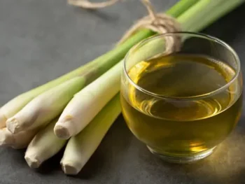 bulk citronella oil bulk citronella oil