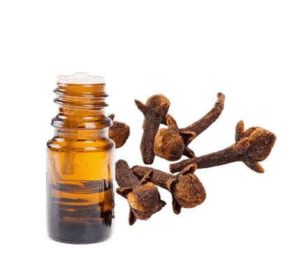 clove essential oil manufacturer, the best clove essential oil brand, clove essential oil, clove oil for depression, clove syzygium aromaticum, clove tree, clove leaf, clove for skin, Organic cloves, clove oil, skin, clove tea