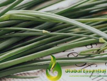 Photo by CHUTTERSNAP lemongrass essential oil